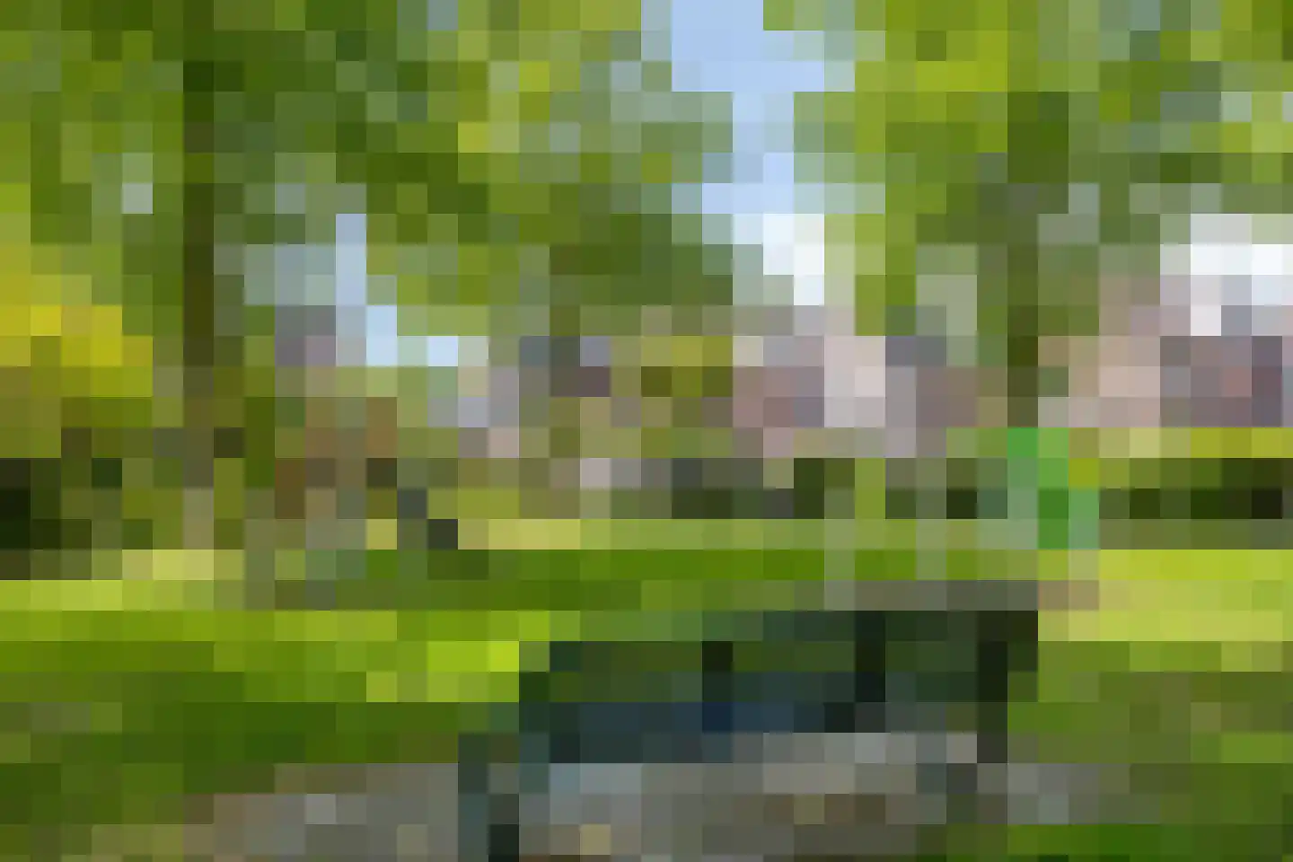 Goudenregenlaan 42 Castricum thumbnail 36