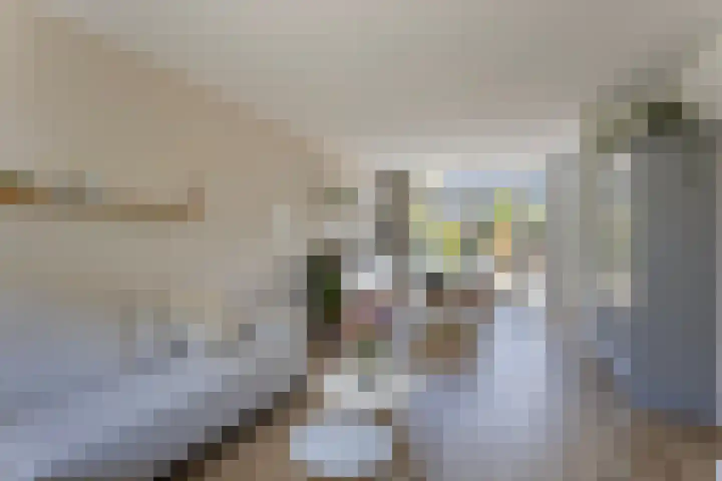 Goudenregenlaan 42 Castricum thumbnail 8