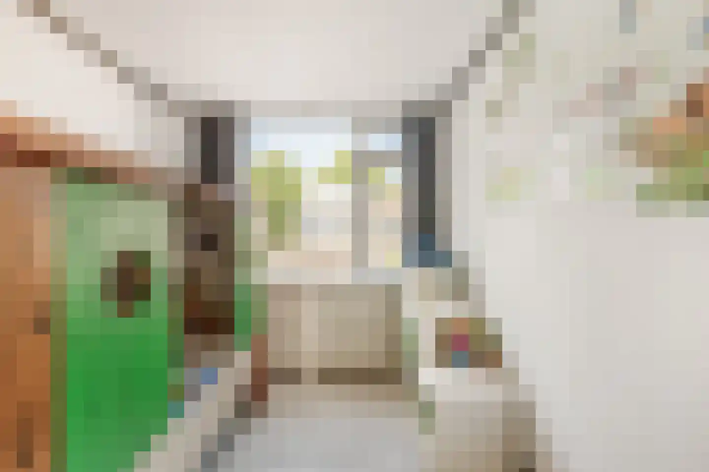 Goudenregenlaan 45 Castricum thumbnail 25
