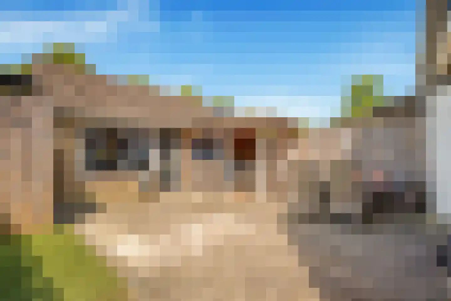 Goudenregenlaan 45 Castricum thumbnail 38