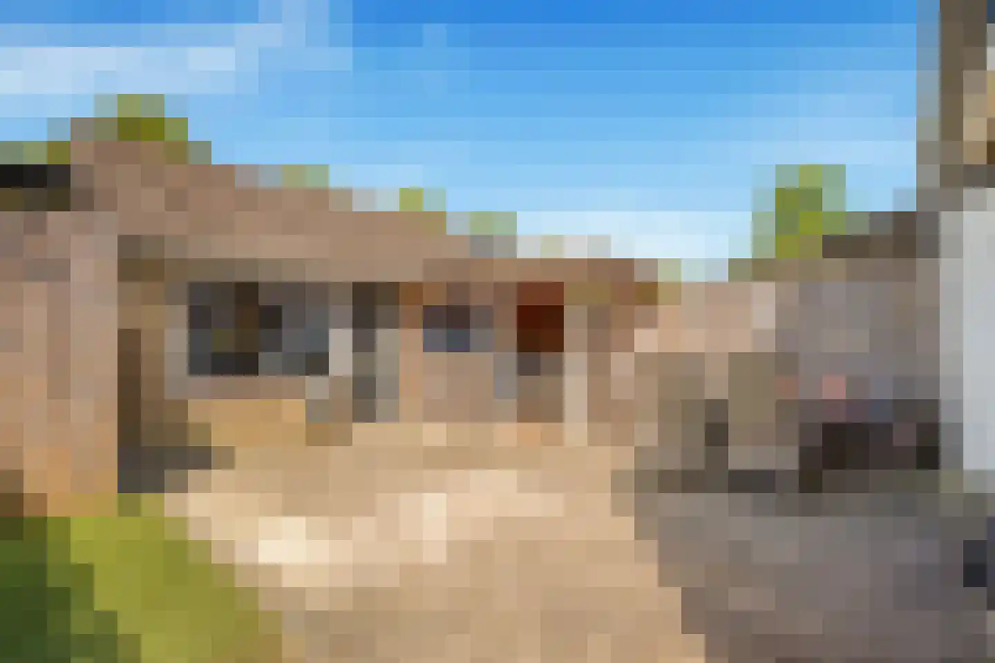 Goudenregenlaan 45 Castricum thumbnail 4
