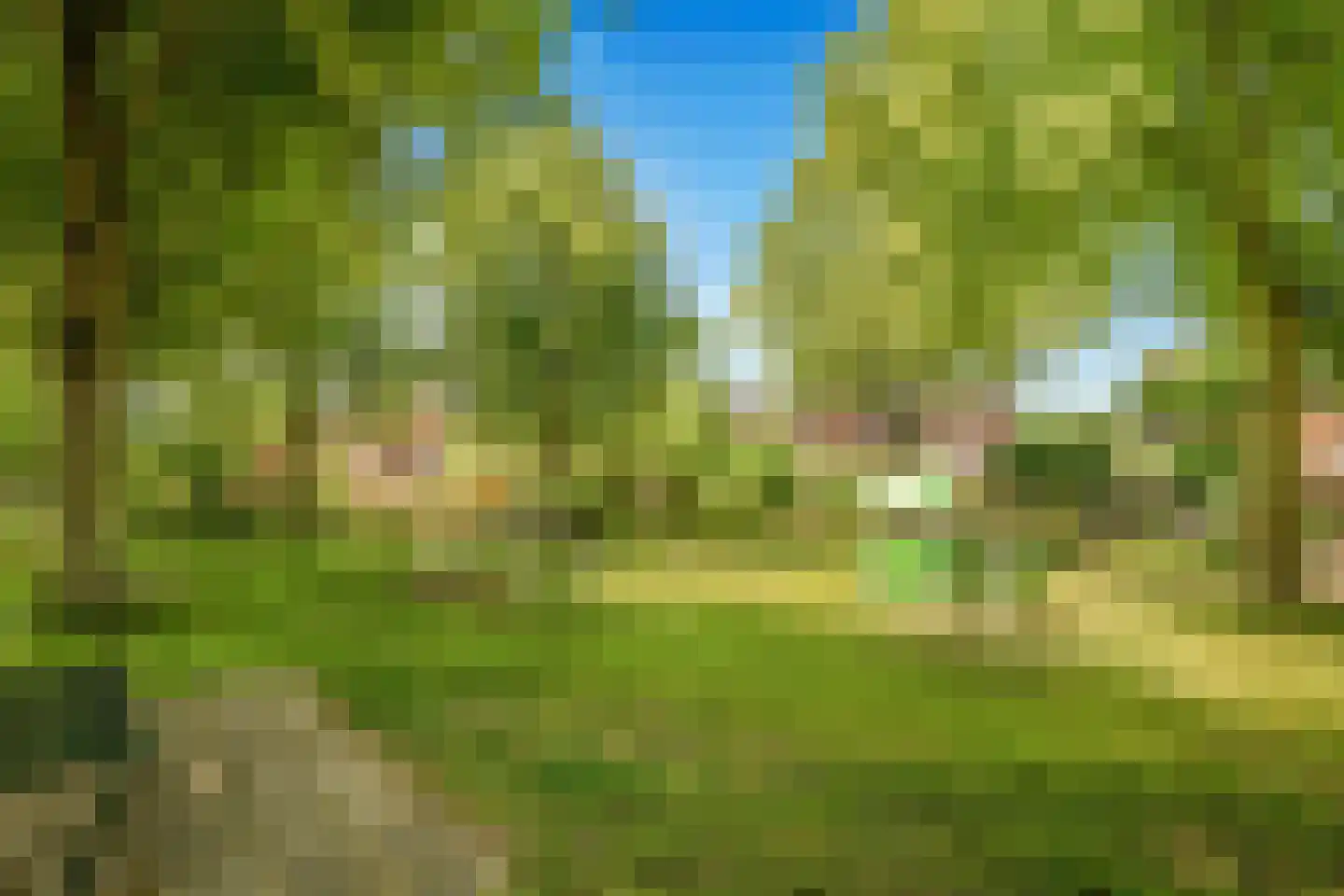Goudenregenlaan 45 Castricum thumbnail 42