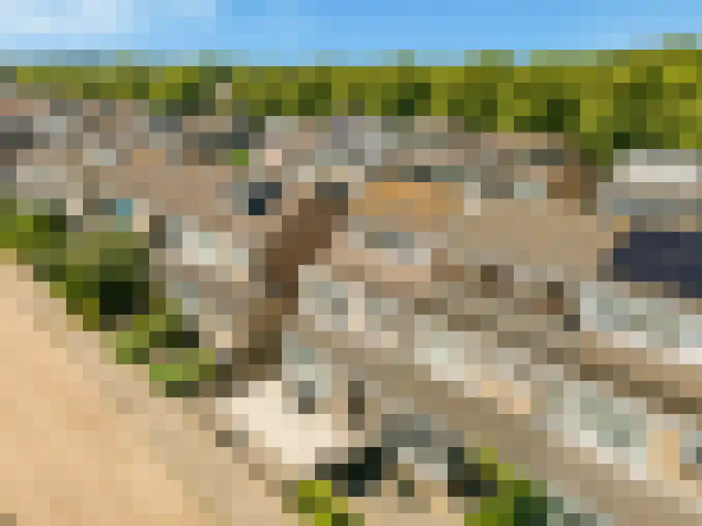 Goudenregenlaan 45 Castricum thumbnail 46