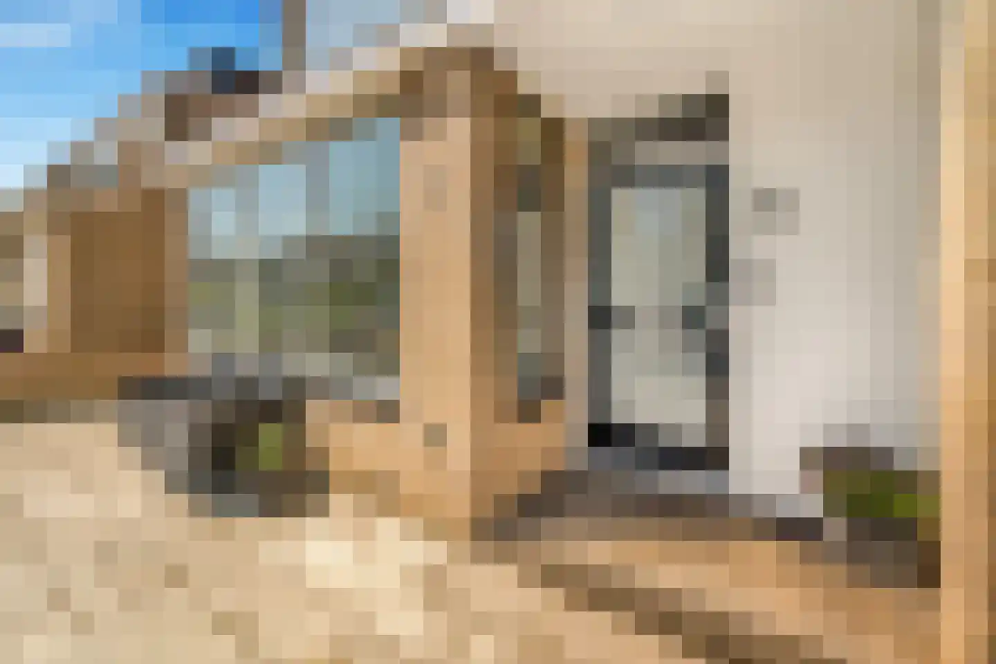 Goudenregenlaan 45 Castricum thumbnail 7