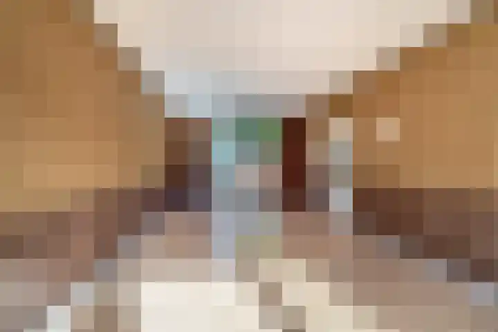Goudenregenlaan 5 Middenmeer thumbnail 13