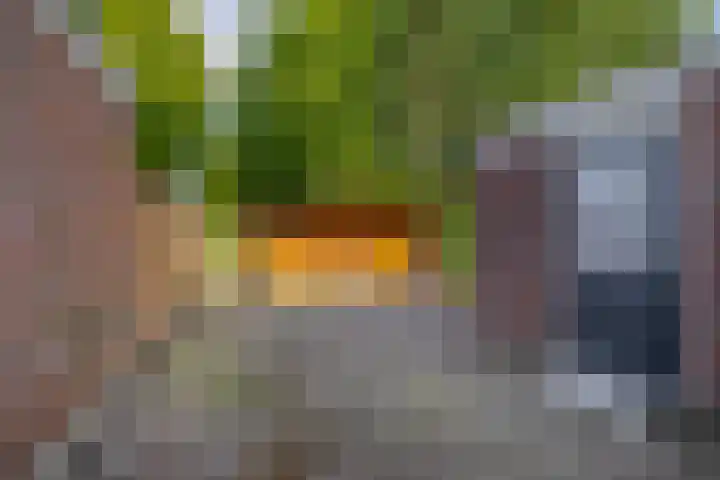 Goudenregenlaan 5 Middenmeer thumbnail 17