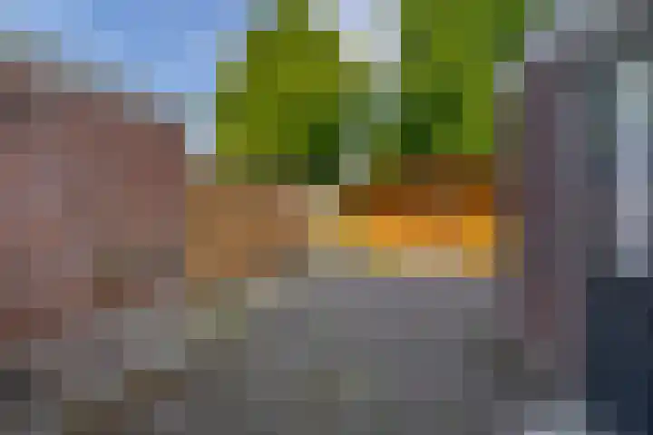 Goudenregenlaan 5 Middenmeer thumbnail 18