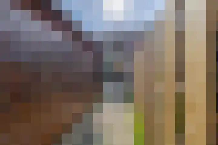 Goudenregenlaan 5 Middenmeer thumbnail 20