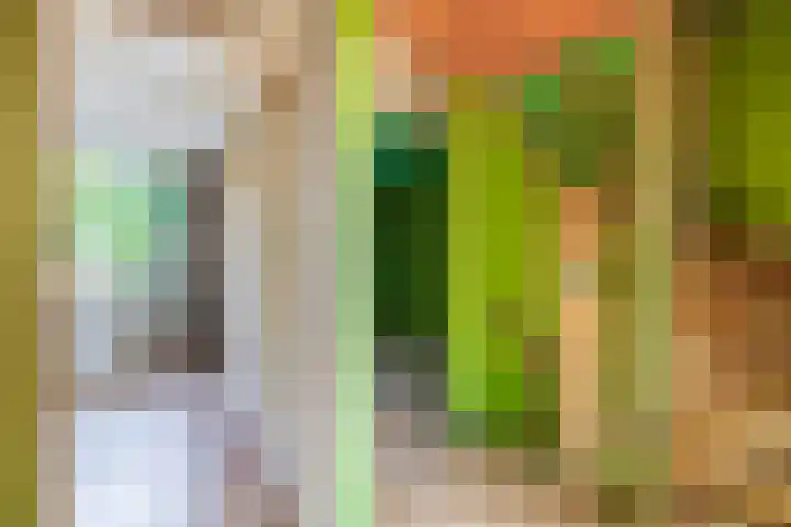 Goudenregenlaan 5 Middenmeer thumbnail 22