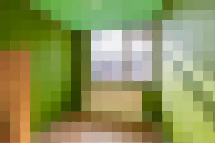 Goudenregenlaan 5 Middenmeer thumbnail 24