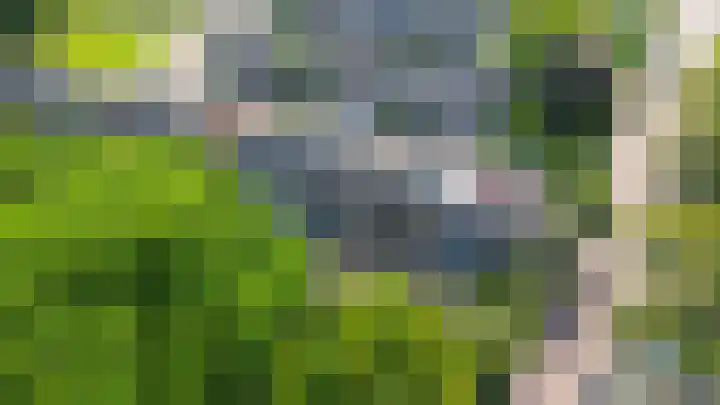 Goudenregenlaan 5 Middenmeer thumbnail 38
