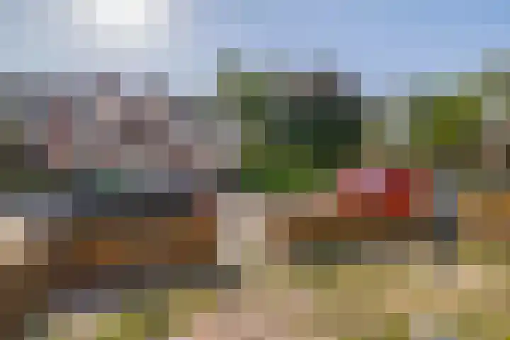 Goudenregenlaan 5 Middenmeer thumbnail 7