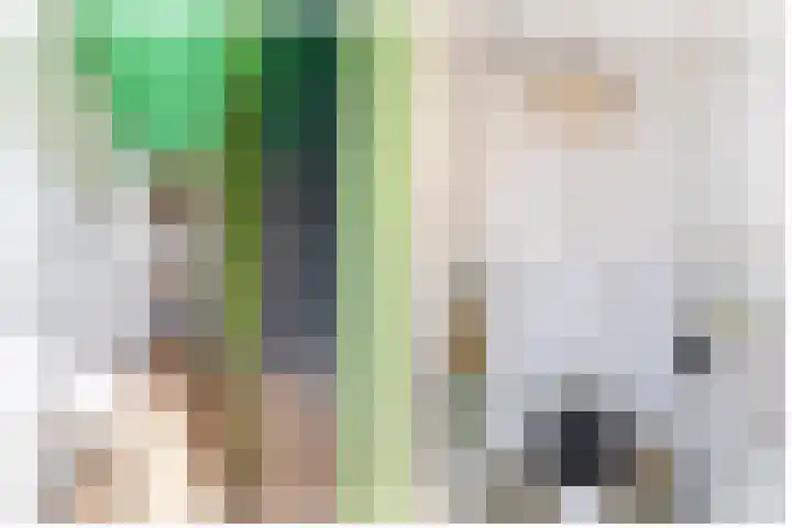 Goudenregenlaan 5 Middenmeer thumbnail 8