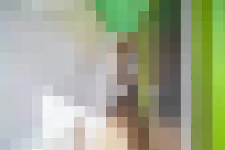 Goudenregenlaan 5 Middenmeer thumbnail 9
