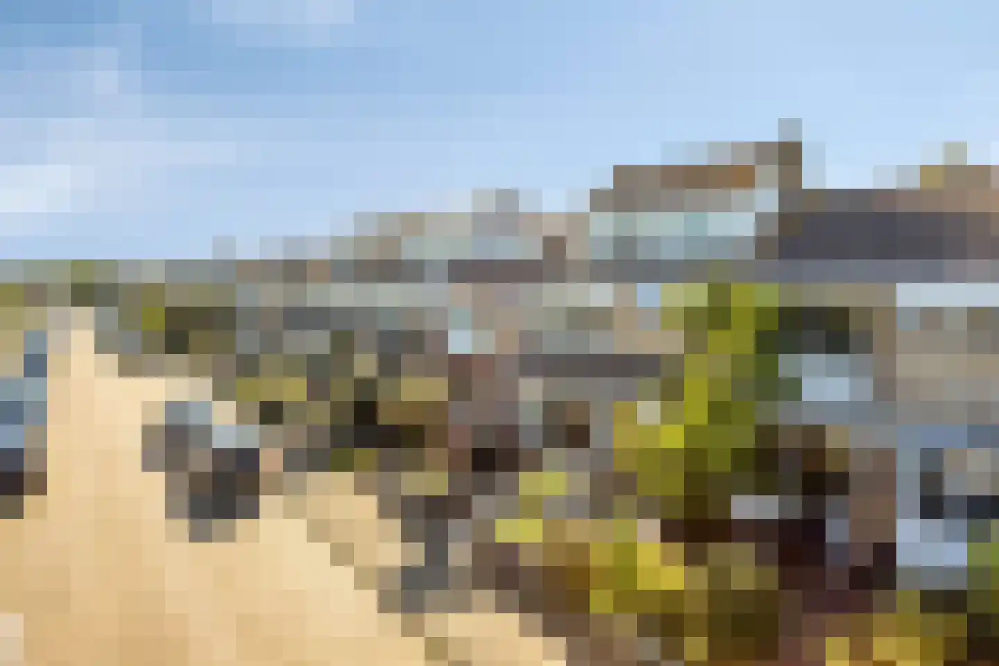 Goudenregenlaan 53 Castricum thumbnail 30