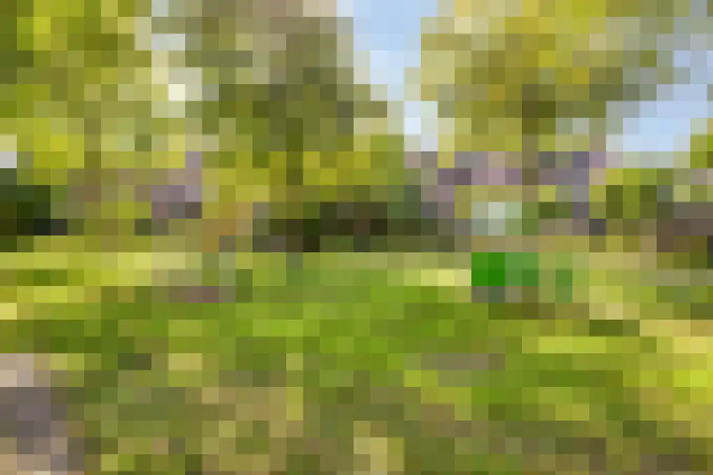 Goudenregenlaan 53 Castricum thumbnail 31