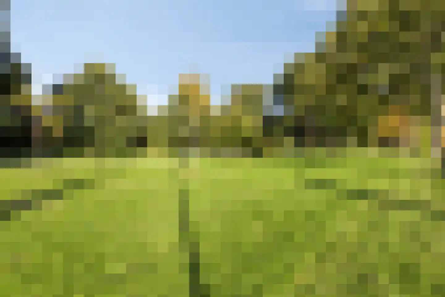 Goudenregenlaan 53 Castricum thumbnail 33