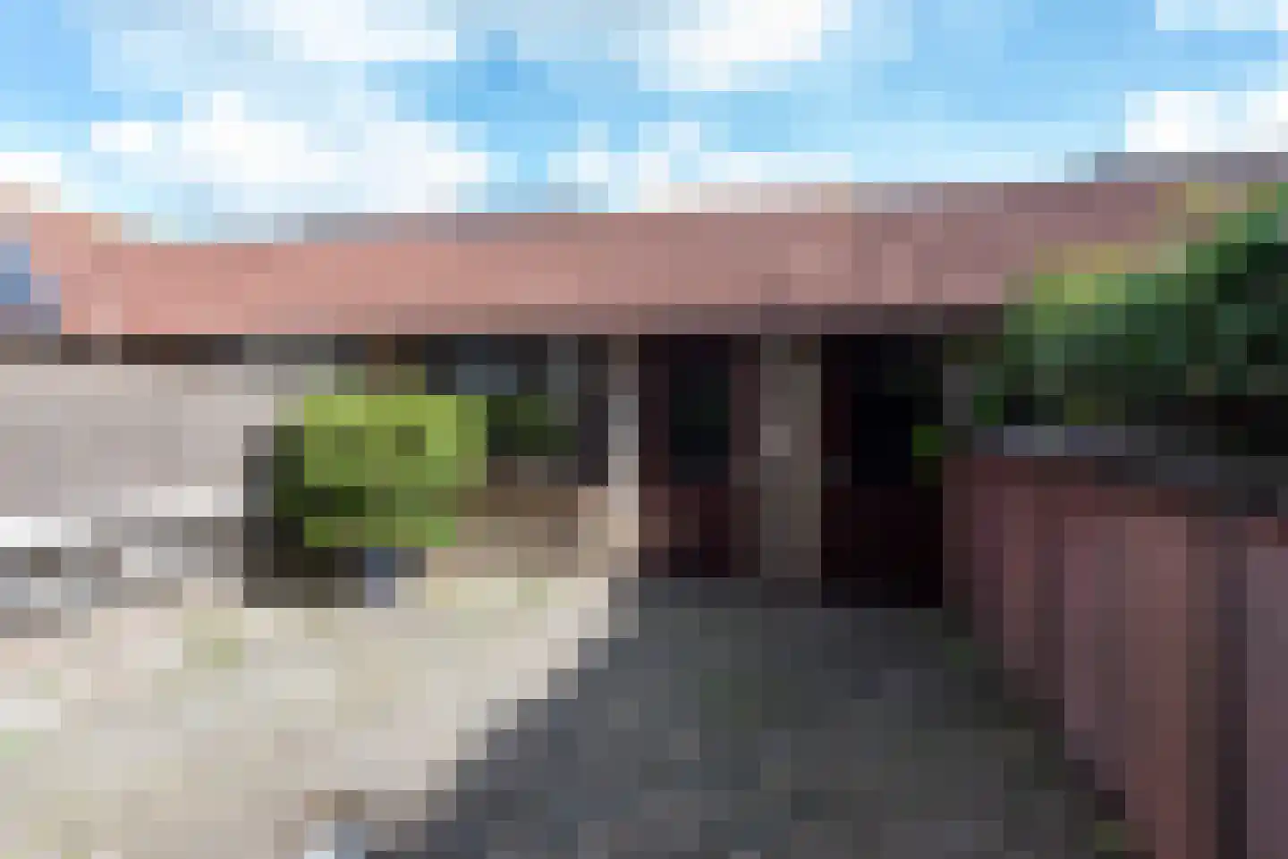 Goudenregenlaan 58 Castricum thumbnail 28