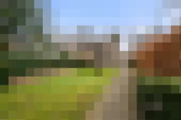 Goudenregenlaan 7 Nieuwe Pekela thumbnail 15