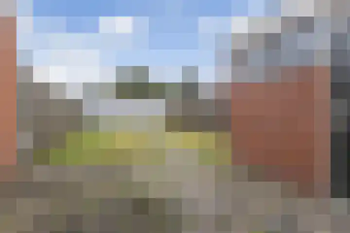 Goudenregenlaan 7 Nieuwe Pekela thumbnail 15