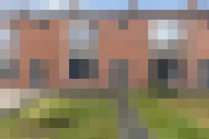 Goudenregenlaan 7 Nieuwe Pekela foto 2