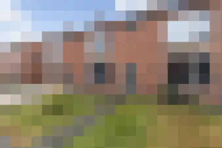 Goudenregenlaan 7 Nieuwe Pekela foto 3