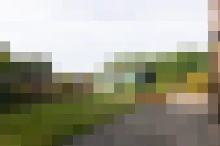 Goudenregenlaan 7 Nieuwe Pekela thumbnail 9