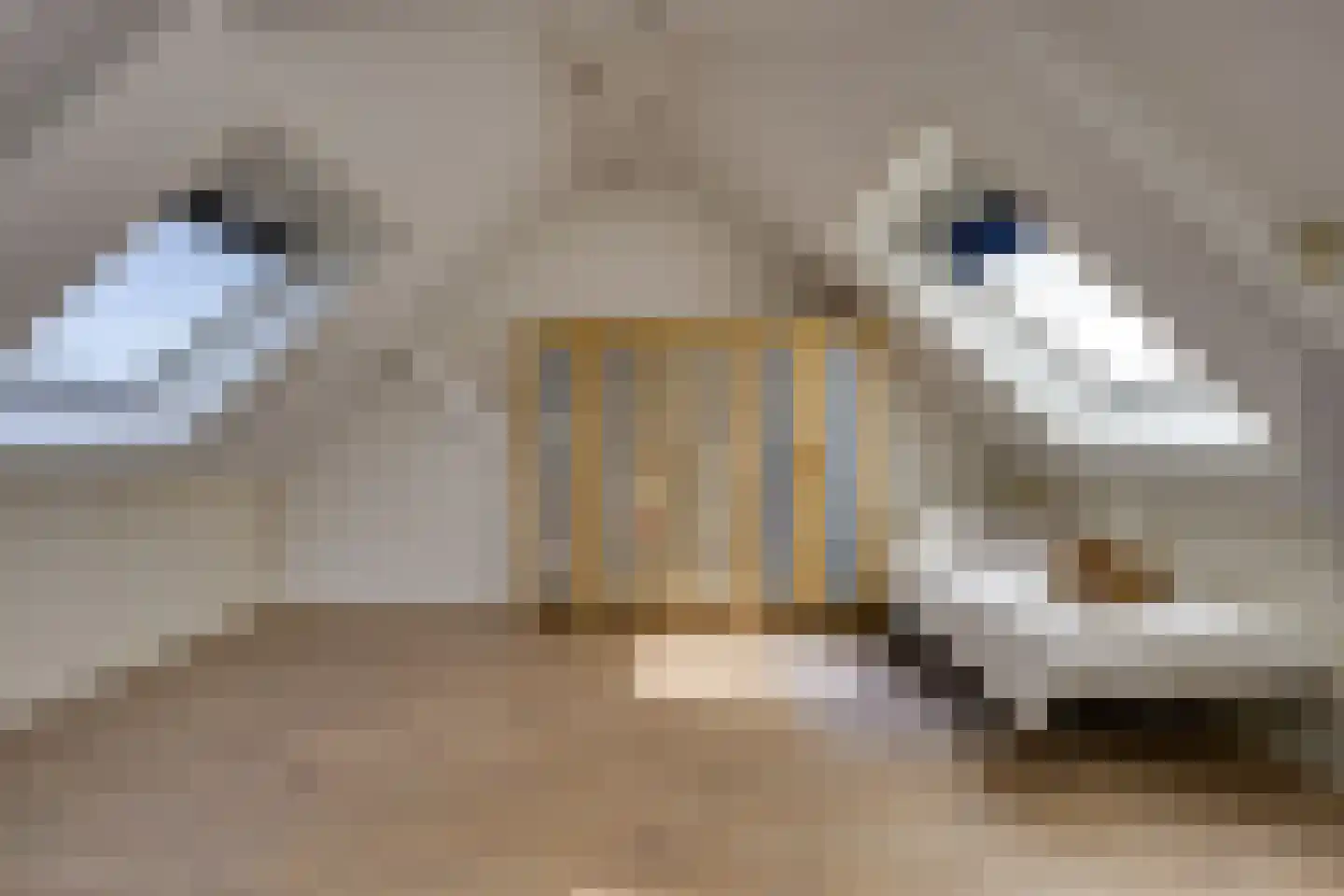 Goudenregenpad 15 Sleeuwijk thumbnail 22