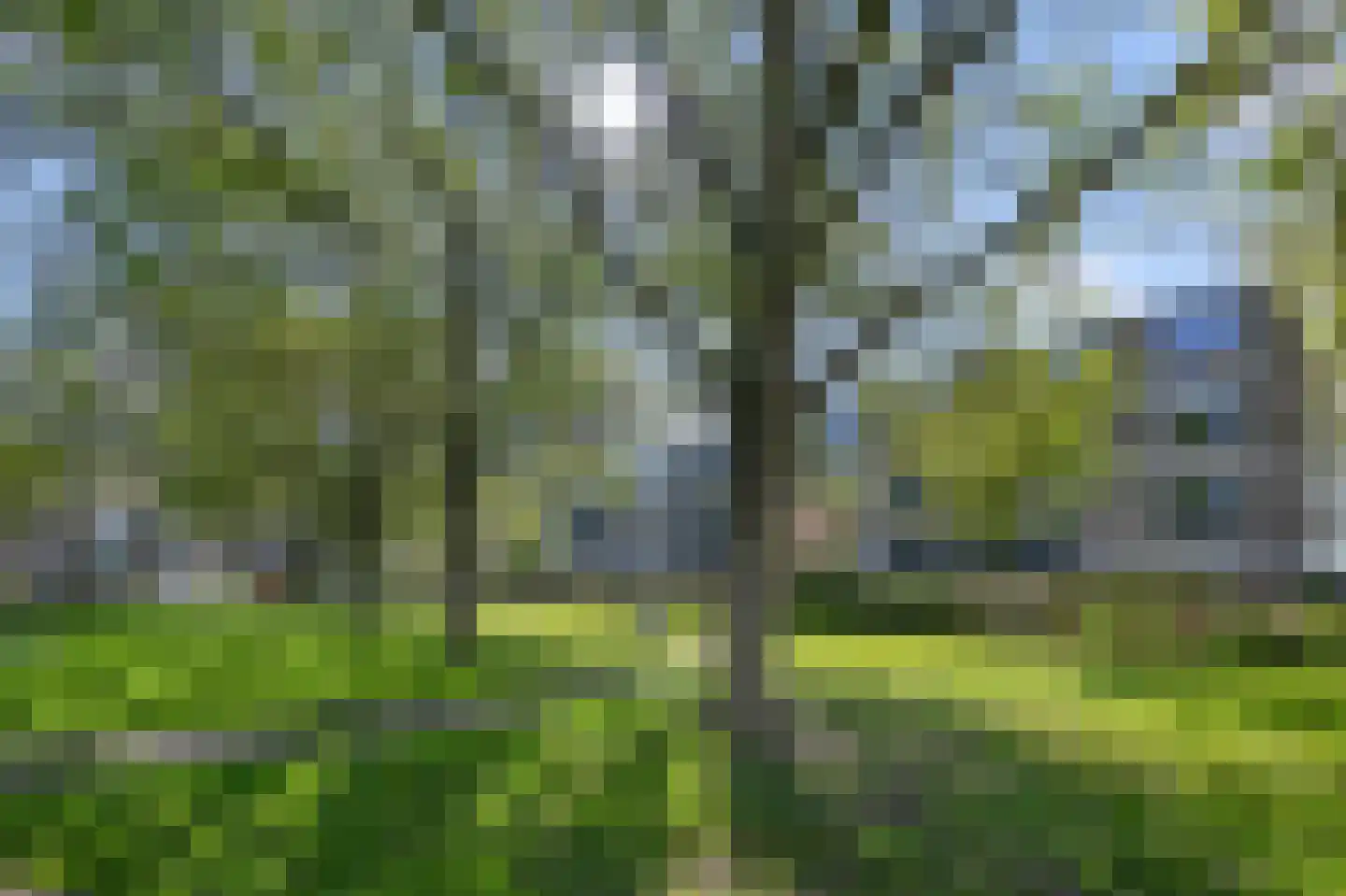 Goudenregenplantsoen 6 Alphen aan den Rijn thumbnail 17