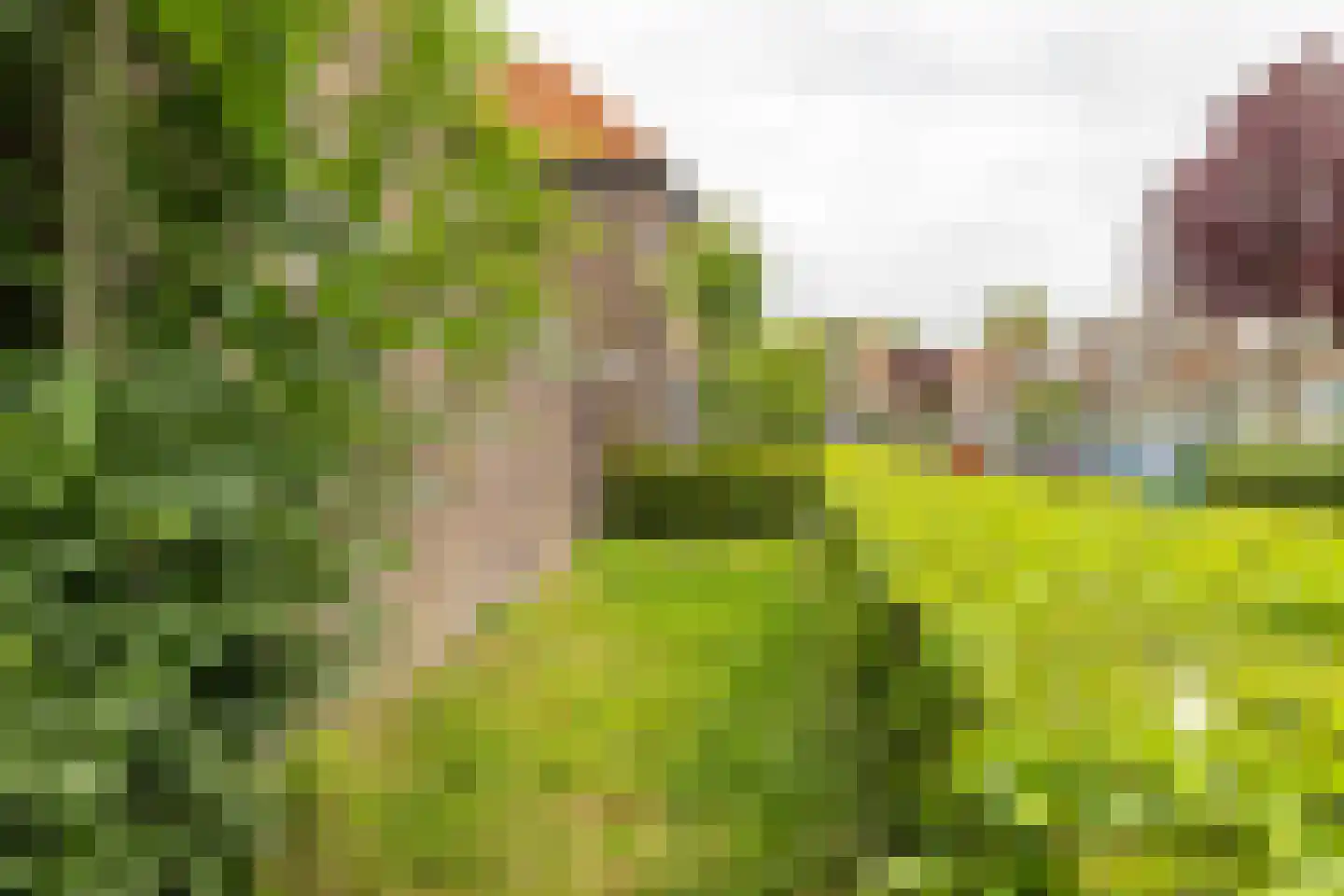 Goudenregenplein 1 Groningen thumbnail 11