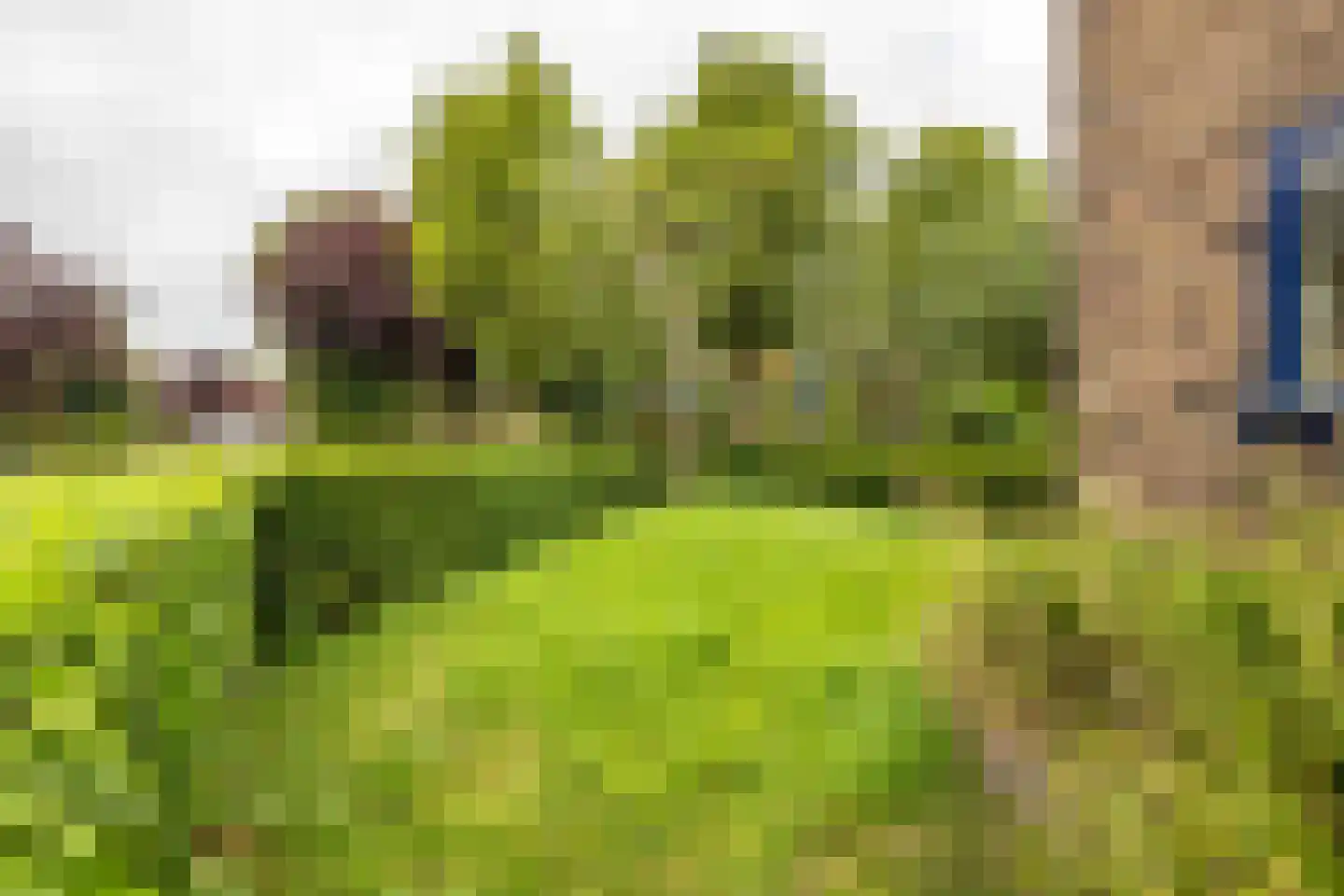 Goudenregenplein 1 Groningen thumbnail 12