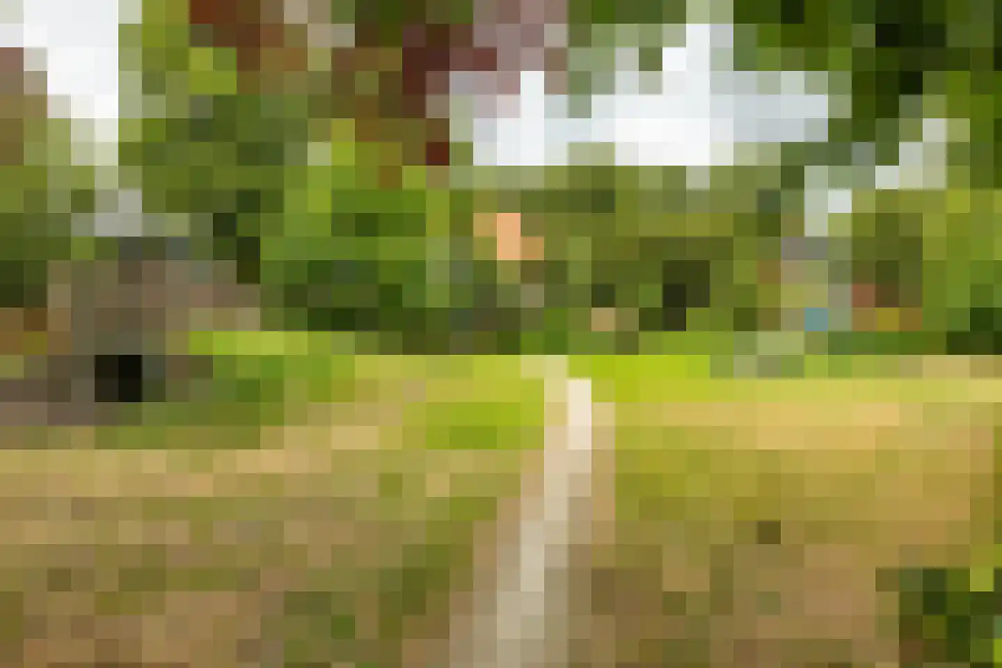 Goudenregenplein 1 Groningen thumbnail 32