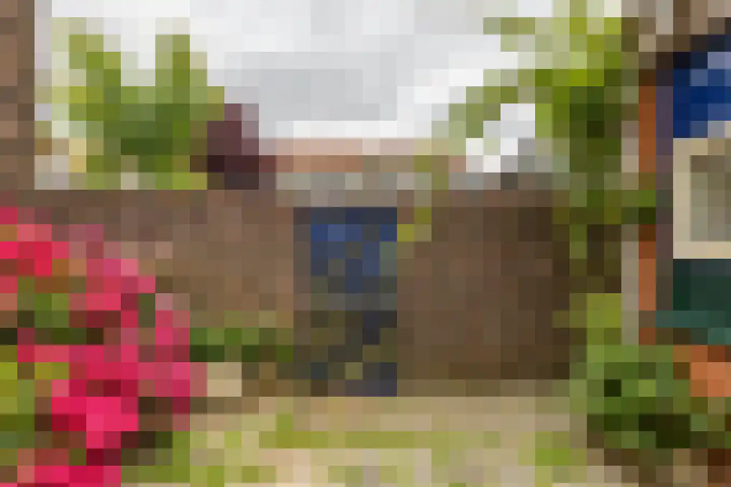 Goudenregenplein 1 Groningen thumbnail 4