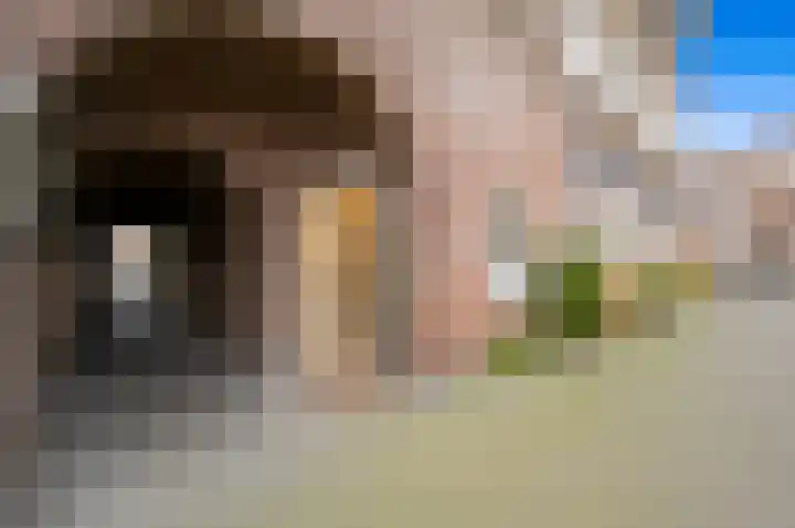Goudenregenplein 15 Den Haag thumbnail 6