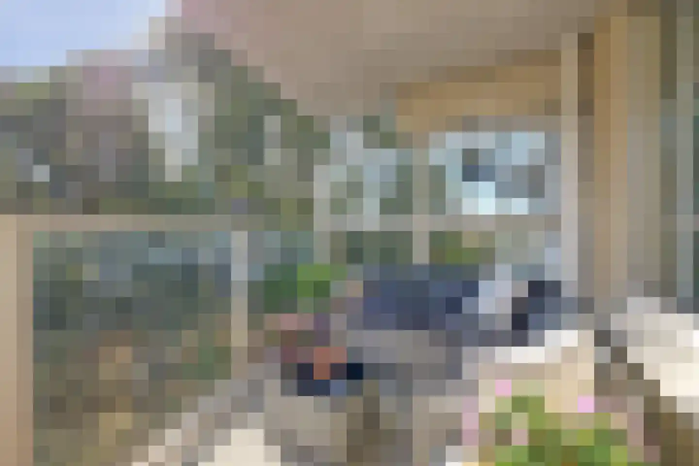 Goudenregenplein 170 Spijkenisse thumbnail 13