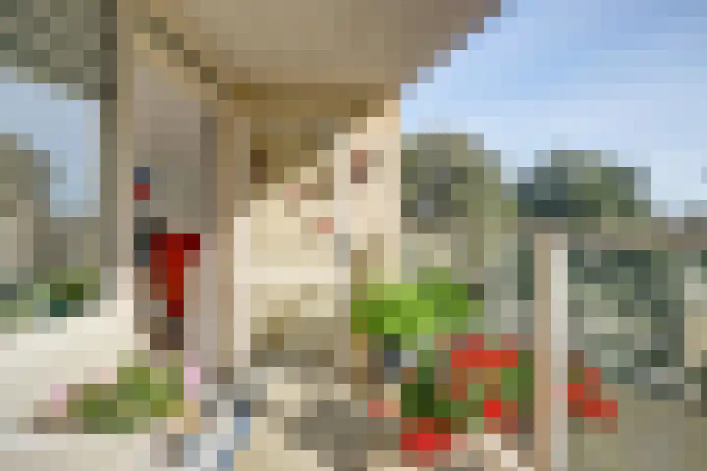 Goudenregenplein 170 Spijkenisse thumbnail 14