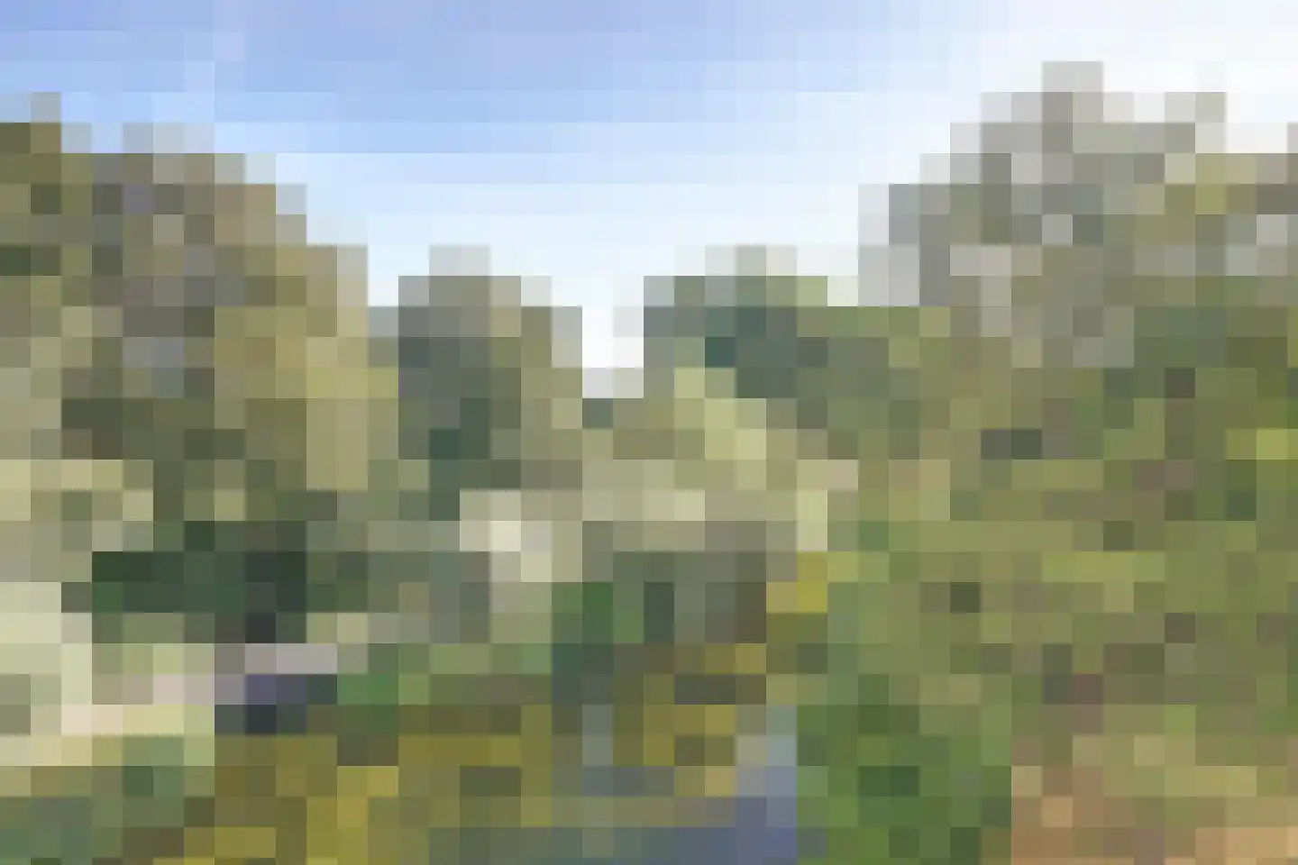 Goudenregenplein 170 Spijkenisse thumbnail 15