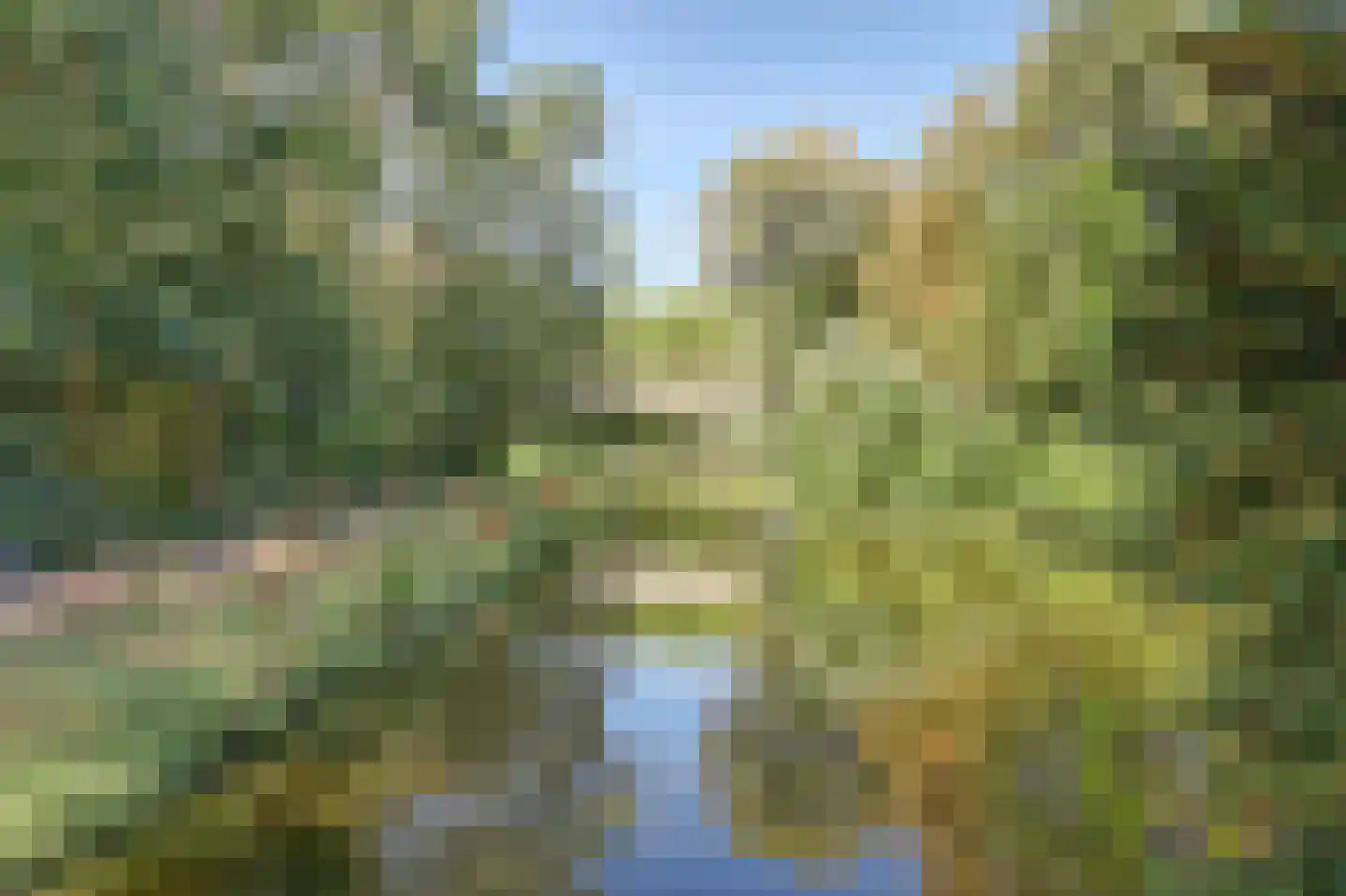 Goudenregenplein 170 Spijkenisse thumbnail 16