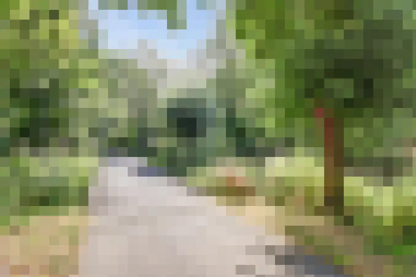 Goudenregenplein 170 Spijkenisse thumbnail 34