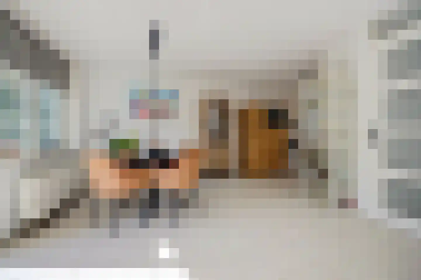 Goudenregenplein 170 Spijkenisse thumbnail 6