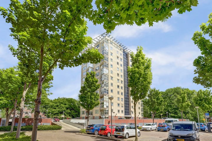 Goudenregenplein 254 in Spijkenisse Foto