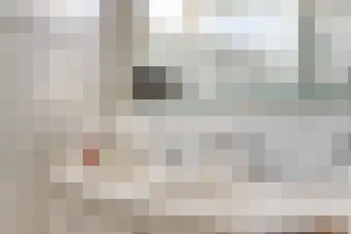 Goudenregenplein 254 Spijkenisse thumbnail 17