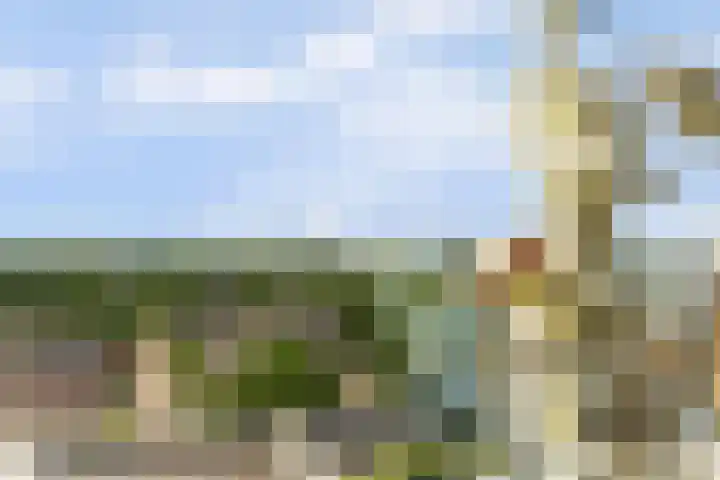 Goudenregenplein 254 Spijkenisse thumbnail 21