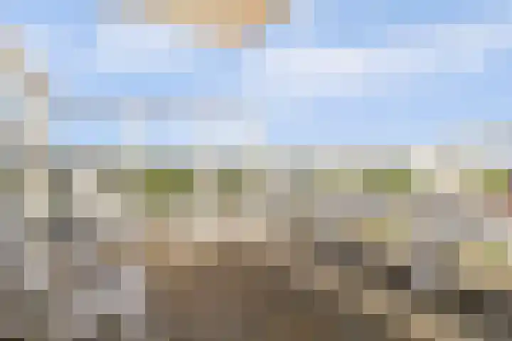 Goudenregenplein 254 Spijkenisse thumbnail 22