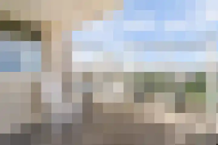 Goudenregenplein 254 Spijkenisse thumbnail 23