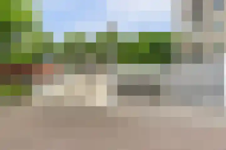 Goudenregenplein 254 Spijkenisse thumbnail 24