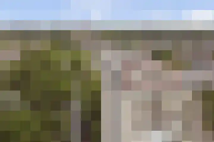 Goudenregenplein 254 Spijkenisse thumbnail 26
