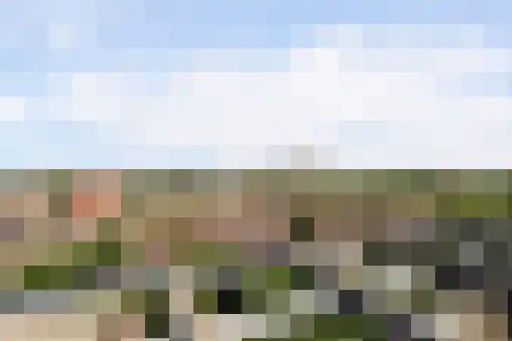 Goudenregenplein 254 Spijkenisse thumbnail 27