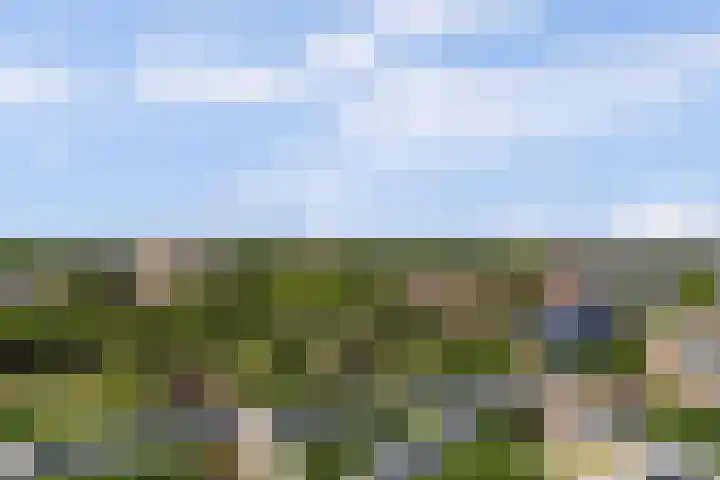 Goudenregenplein 254 Spijkenisse thumbnail 29