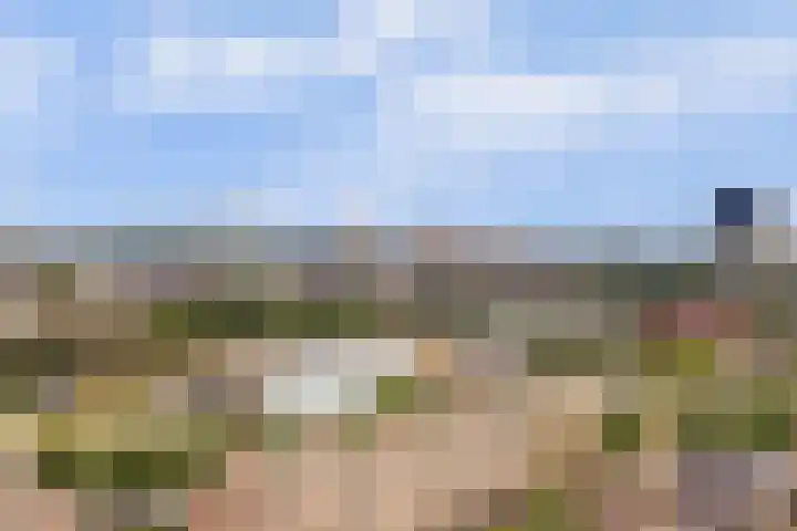 Goudenregenplein 254 Spijkenisse thumbnail 30
